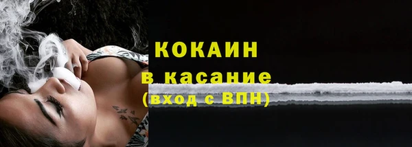 твердый Горняк
