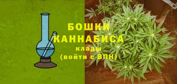 твердый Горняк
