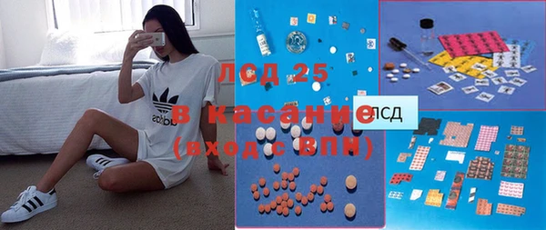 крисы Вязьма